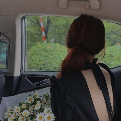 花颜劫